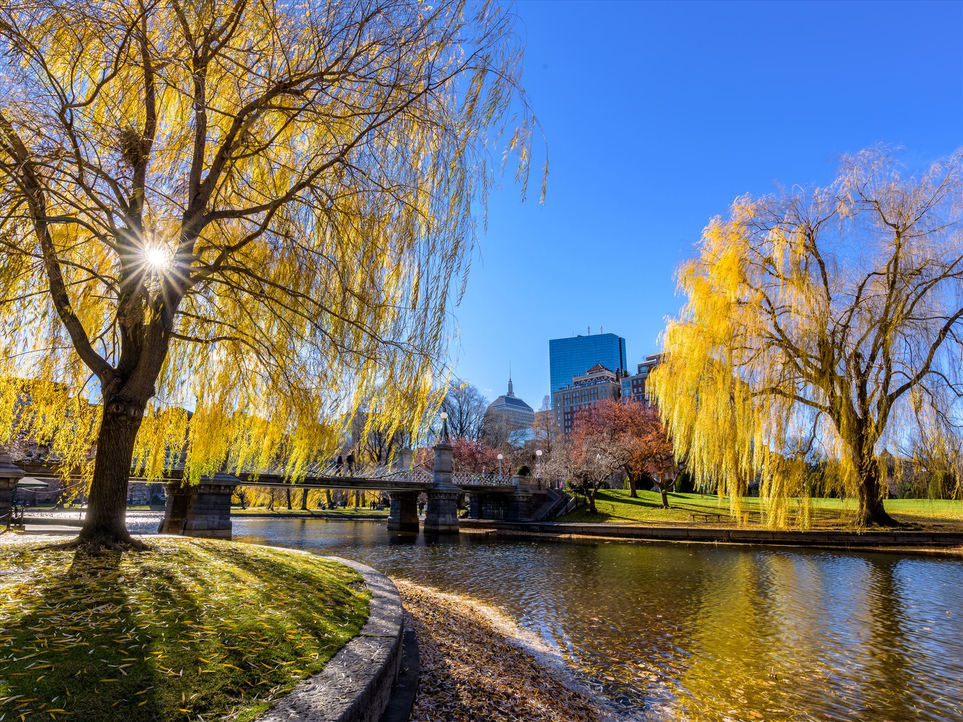Trees show their vibrant fall color in the famous Boston Public Garden in Boston, Massachusetts -  by New England Photography